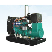 50kw Googol Water Cooled Emergency Gas Generator